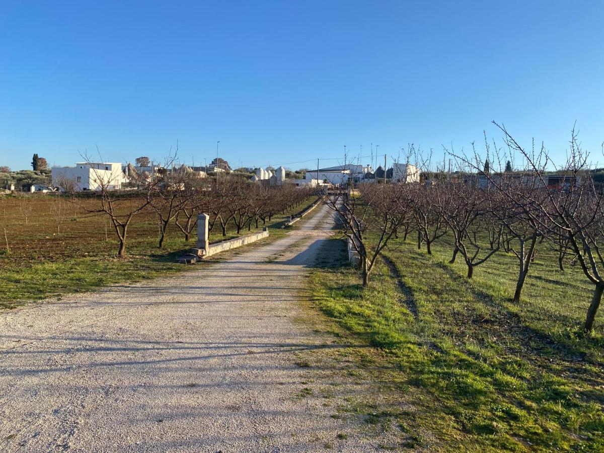알베르벨로 Trullo Della Selva 빌라 외부 사진